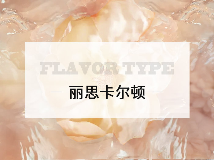 麗思卡爾頓/ Ritz Carlton